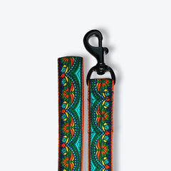 Fire & Ice Dog Collar & Leash