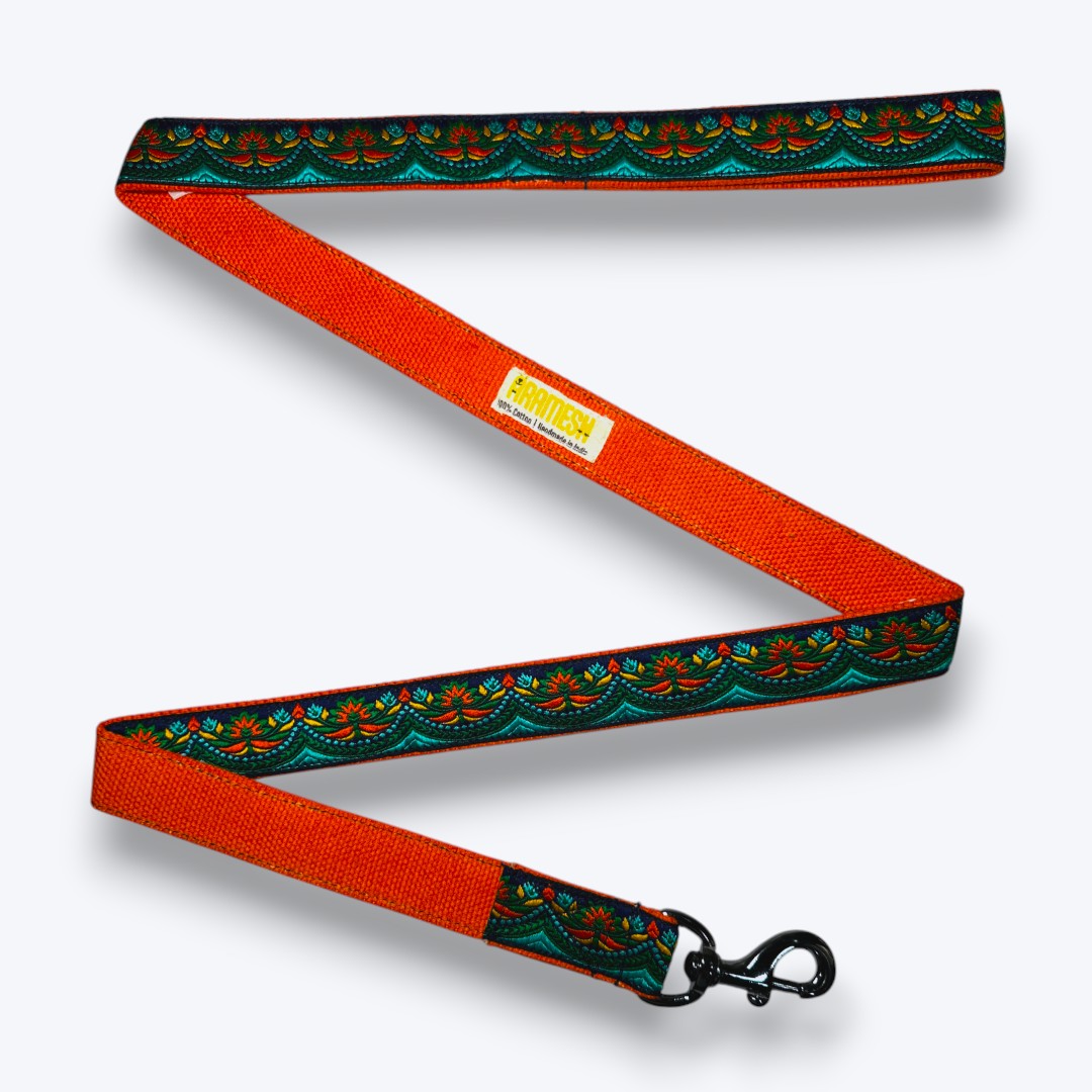 Fire & Ice Dog Leash