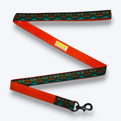 Fire & Ice Dog Leash