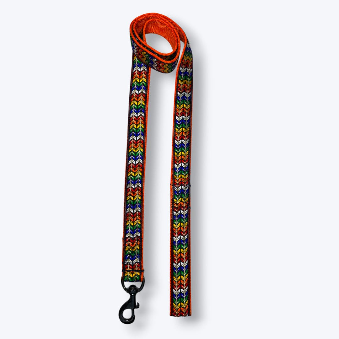 Colourful Trails Dog Collar & Leash