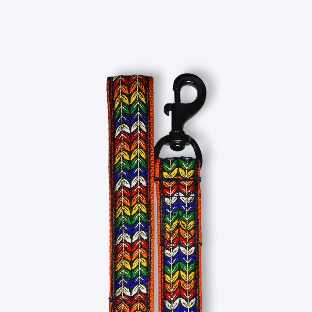Colourful Trails Dog Collar & Leash