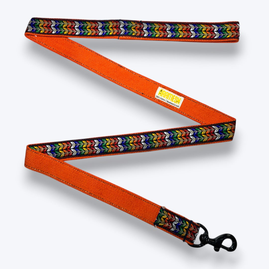 Colourful Trails Dog Leash