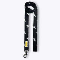 Midnight Bark Dog Collar & Leash