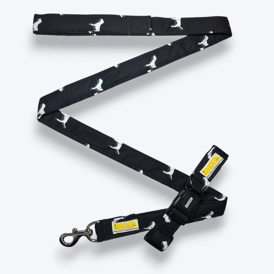 Midnight Bark Dog Collar & Leash