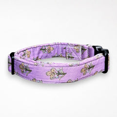 Sweet Pea Cotton Dog Collar