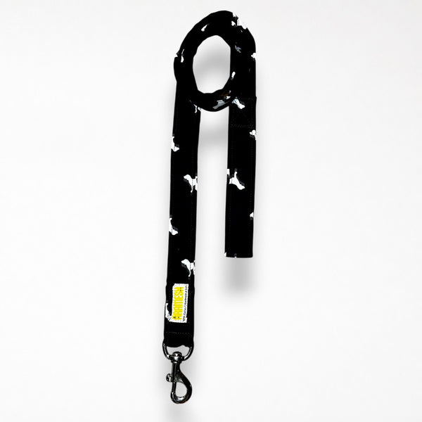 Midnight Bark Dog Collar & Leash