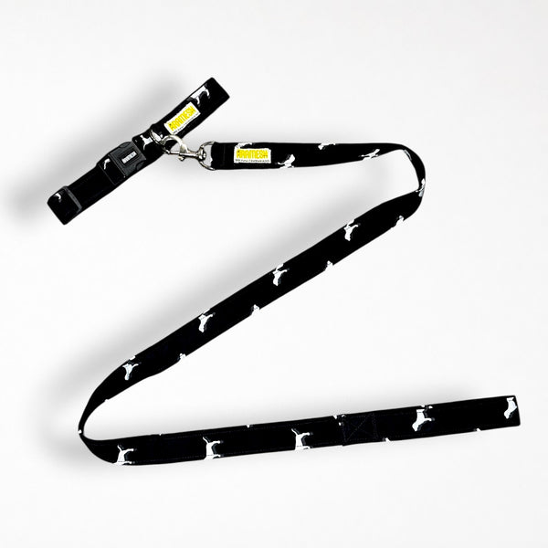 Midnight Bark Dog Collar & Leash
