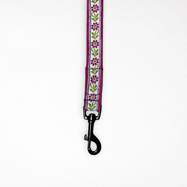 Lavender Sunshine Dog Collar & Leash