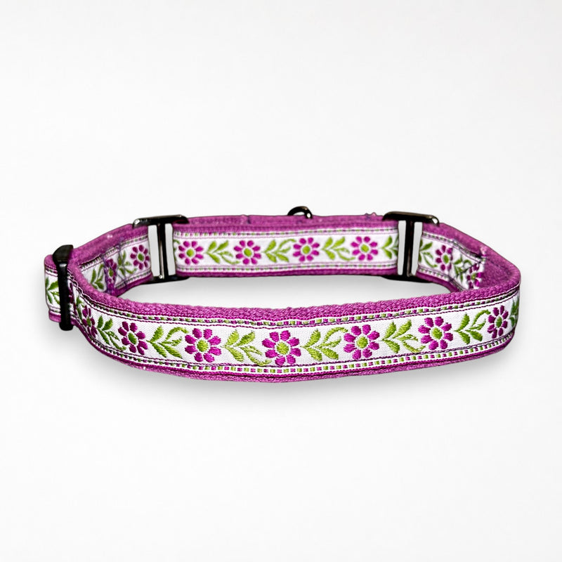 Martingale Dog Collar: Lavendar Sunshine