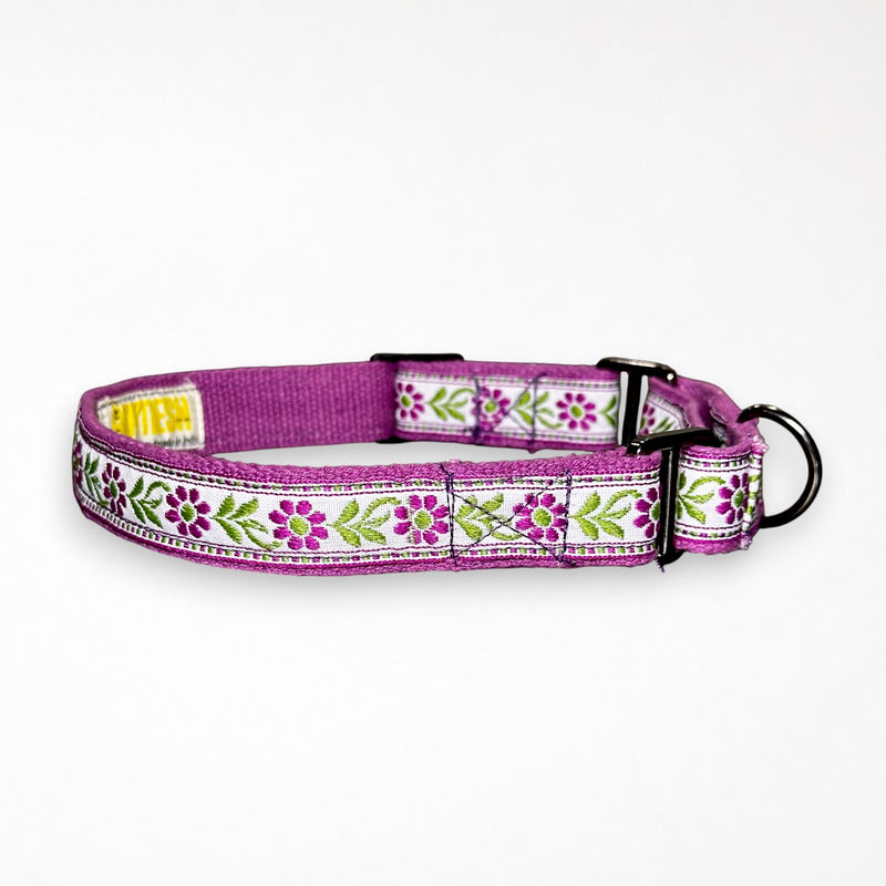 Martingale Dog Collar: Lavendar Sunshine