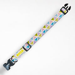 Play Date Dog Collar & Leash