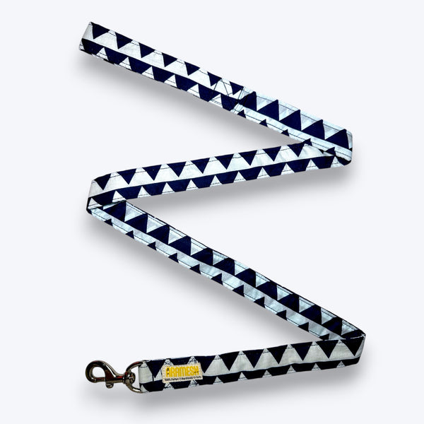 Ocean Edge Dog Leash