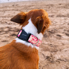 Pink Bloom Dog Collar