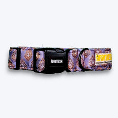 Royal Haze Festive Dog Collar