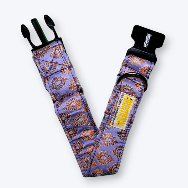 Royal Haze Festive Dog Collar