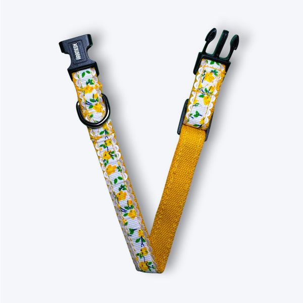 Morning Marigold Cat Collar