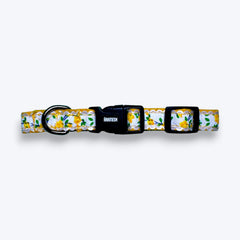Morning Marigold Cat Collar