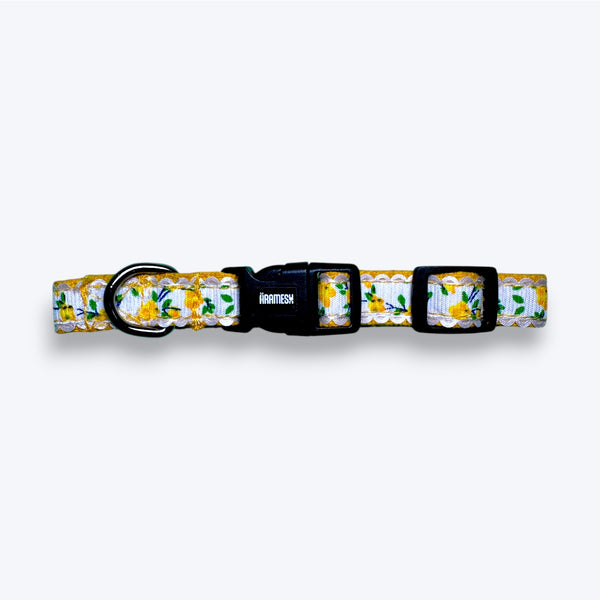 Morning Marigold Cat Collar
