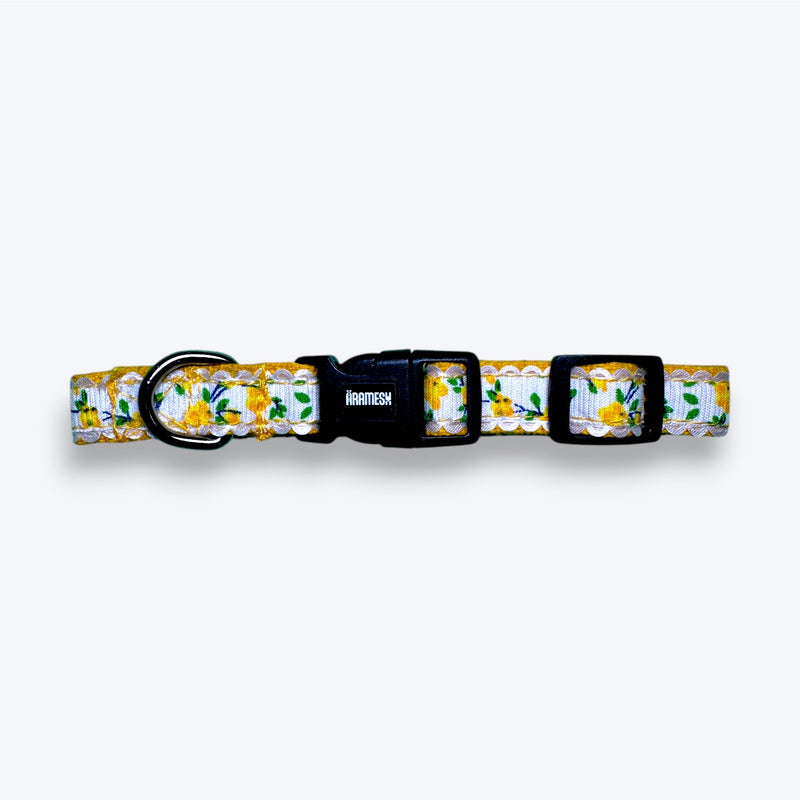 Morning Marigold Cat Collar