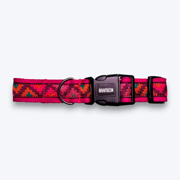 Rosy Rhythm Dog Collar