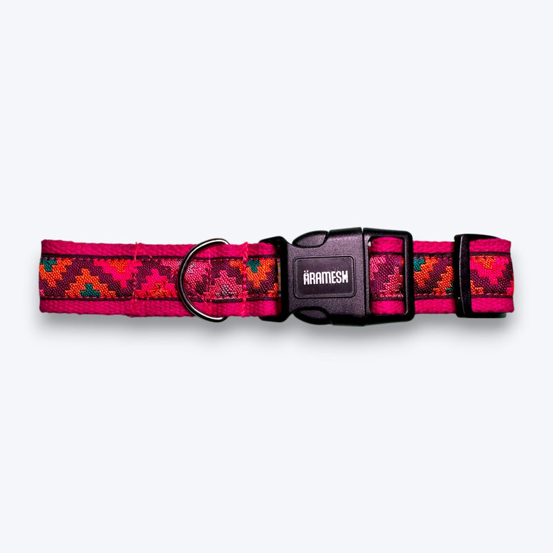 Rosy Rhythm Dog Collar
