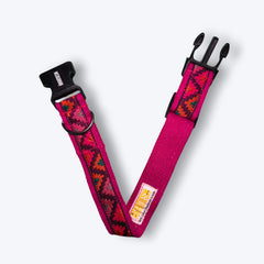 Rosy Rhythm Dog Collar