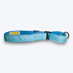 Martingale Dog Collar: Skywater