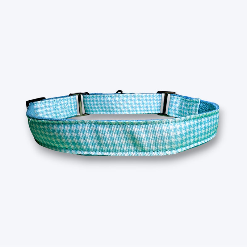 Martingale Dog Collar: Skywater