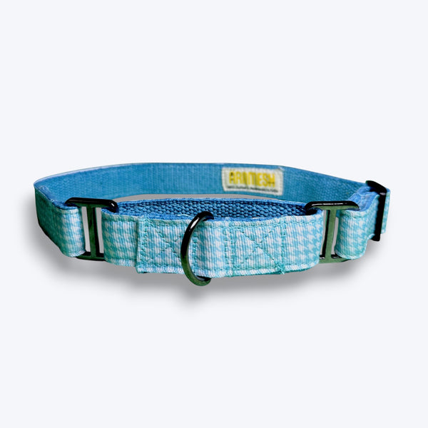 Martingale Dog Collar: Skywater