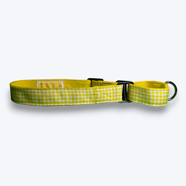 Martingale Dog Collar: Lemonade