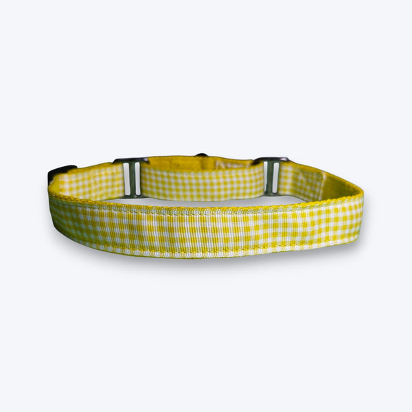 Martingale Dog Collar: Lemonade