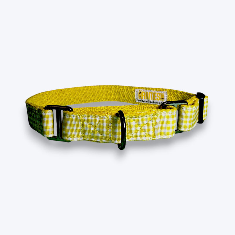 Martingale Dog Collar: Lemonade