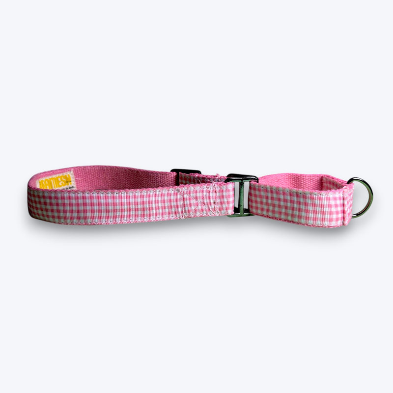 Martingale Dog Collar: Cotton Candy