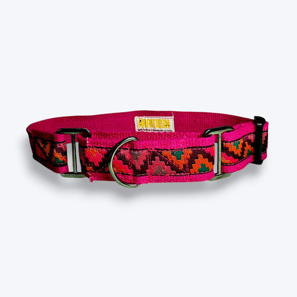 Martingale Dog Collar: Rosy Rhythm