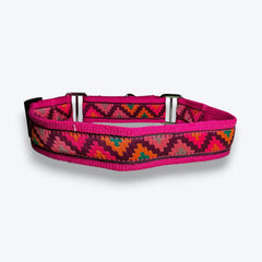 Martingale Dog Collar: Rosy Rhythm