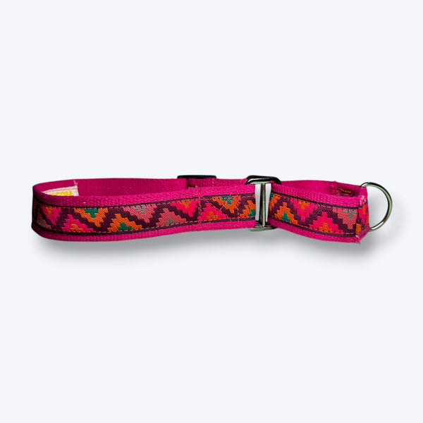 Martingale Dog Collar: Rosy Rhythm