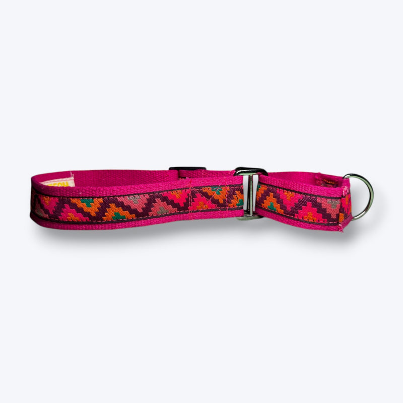 Martingale Dog Collar: Rosy Rhythm