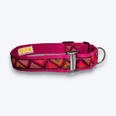 Martingale Dog Collar: Rosy Rhythm