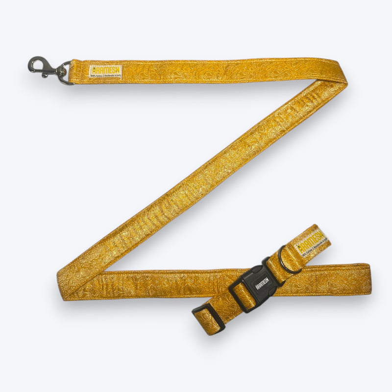 Marigold Festive Dog Collar & Leash