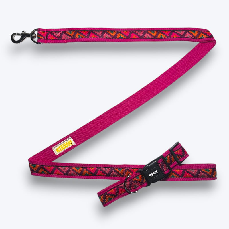 Rosy Rhythm Dog Leash
