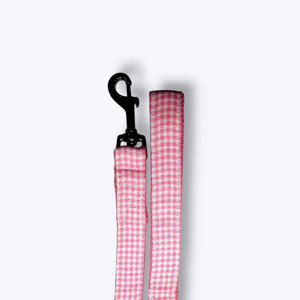 Cotton Candy Dog Leash