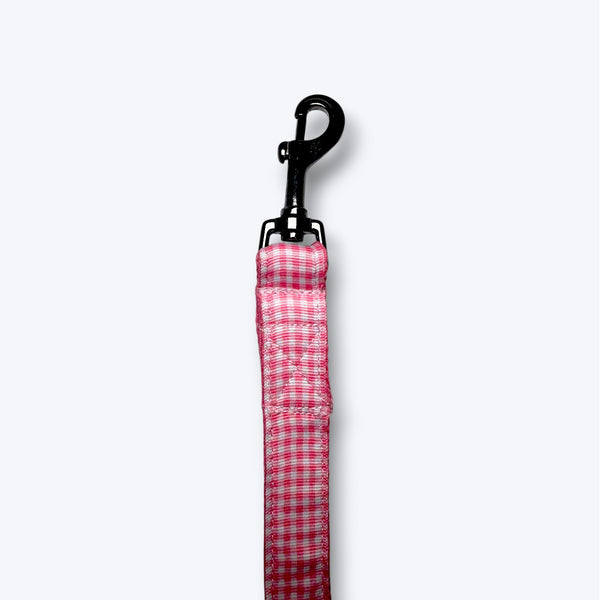 Cotton Candy Dog Leash