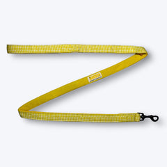 Lemonade Dog Leash