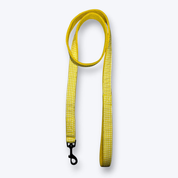 Lemonade Dog Leash
