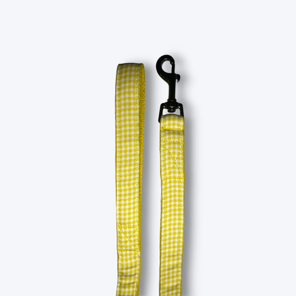 Lemonade Dog Leash