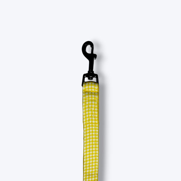 Lemonade Dog Leash