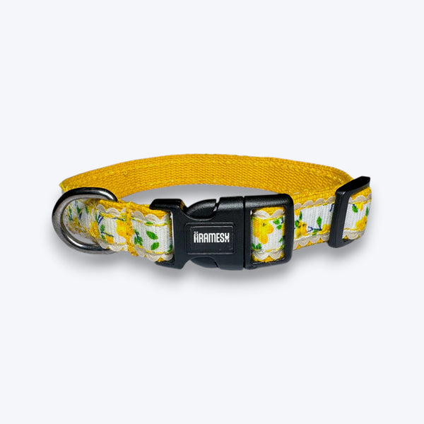 Morning Marigold Cat Collar