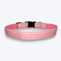 Cotton Candy Dog Collar