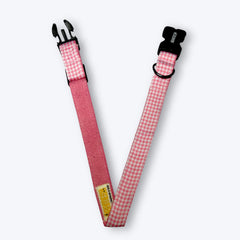 Cotton Candy Dog Collar