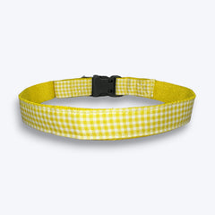 Lemonade Dog Collar